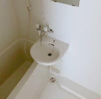 コート・ピア(コートピア)の洗面所