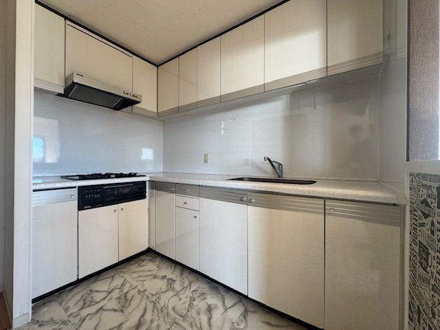 ラビデンス三郷西館のキッチン