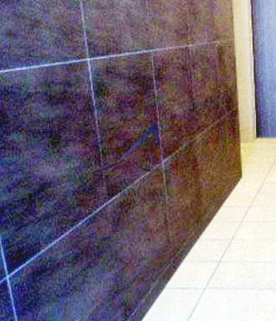 アイル西日暮里イースト