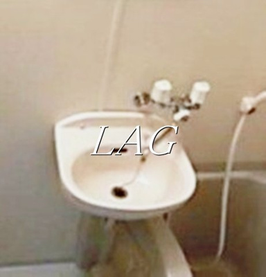 【洗面所】 | 菱和パレス目白ウェルネス２１ | 洗面台です。