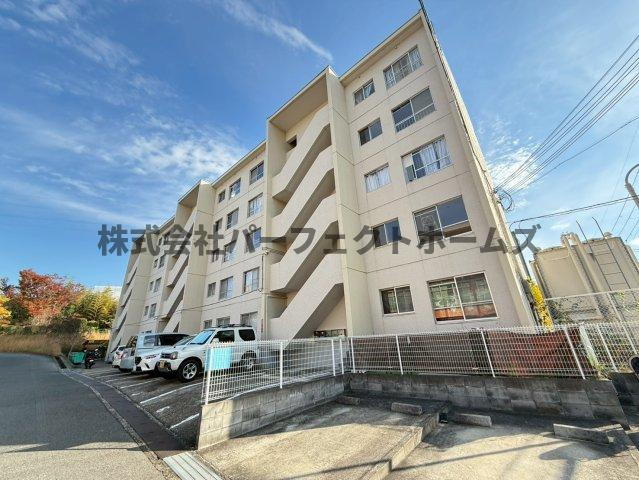 枚方ハイツ3号棟の外観|外観も気になるポイント