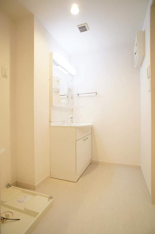 リブリ・プルミエール雅の洗面所