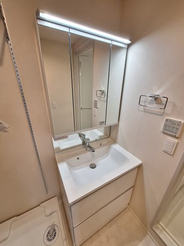 トライアド大崎の洗面所