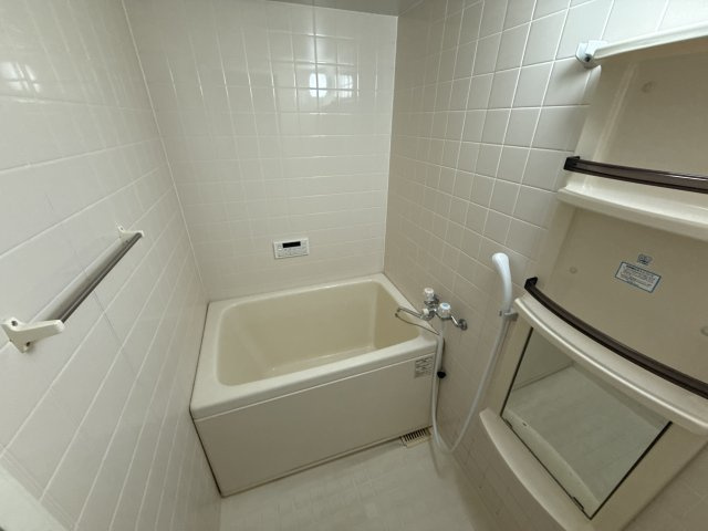 アムールエバーハイツの浴室