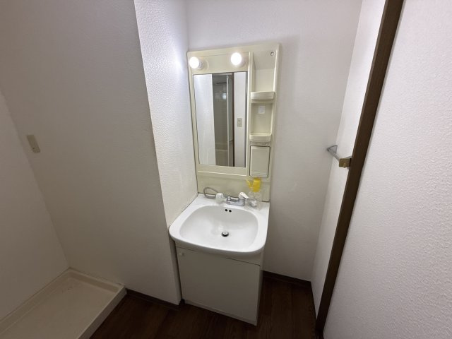 アムールエバーハイツの洗面所