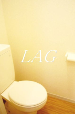 【トイレ】 | メゾン・ディアーヌ | トイレです。（同仕様です。）