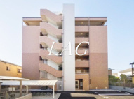 ステーラ・ルーチェの画像