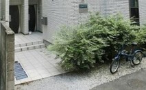 【エントランス】 | OpusⅡ