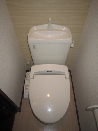 グリュック城ケ崎Ⅱのトイレ