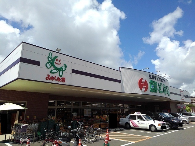 Ｔｅａ　Ｔｒｅｅのその他|その他