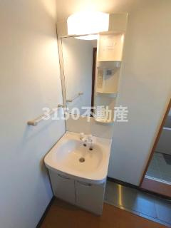 メゾンαの洗面所