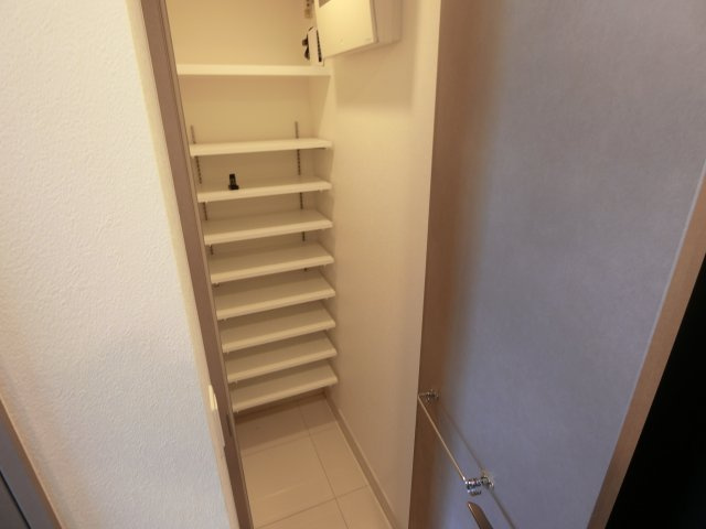 ブランシエスタ新丸子リバーフロントの収納