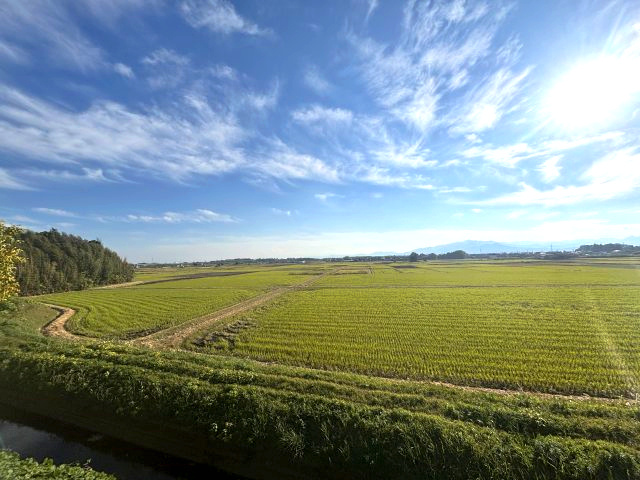 【展望】の画像