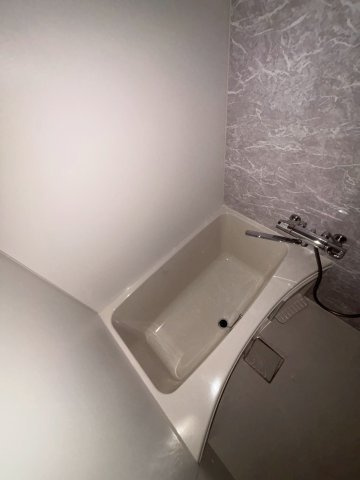 S-RESIDENCE堺筋本町Deuxの浴室