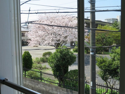 【展望】 | フェリスパステル