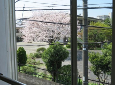 【展望】 | フェリスパステル