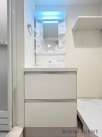 ハーモニーテラス十番Ⅱの洗面所