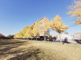 【展望】 | 四季の移り変わりを感じられる、自然豊かな公園も隣接。