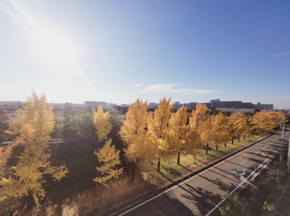 【展望】 | 木々の景観が眺められる5階のお部屋です。癒しの紅葉を眺められます