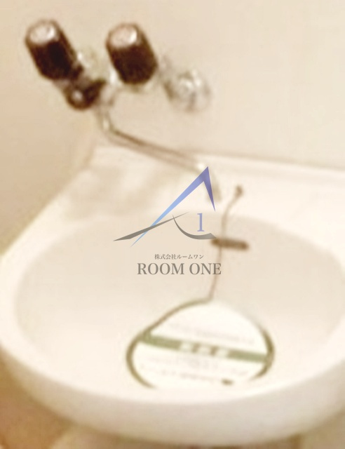 メゾン・ド・パナシェの洗面所|洗面台です。