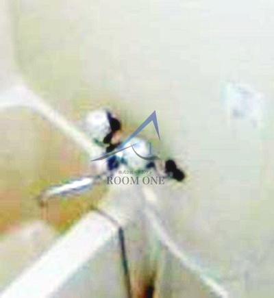 クレスト高島平