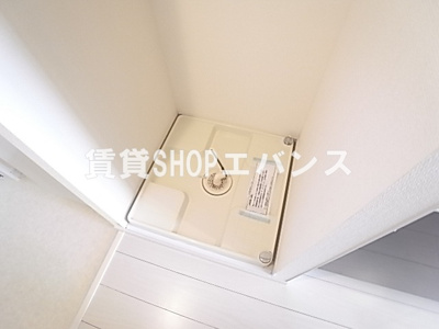  | リブリ・ヴォルペ