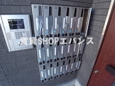  | リブリ・ヴォルペ