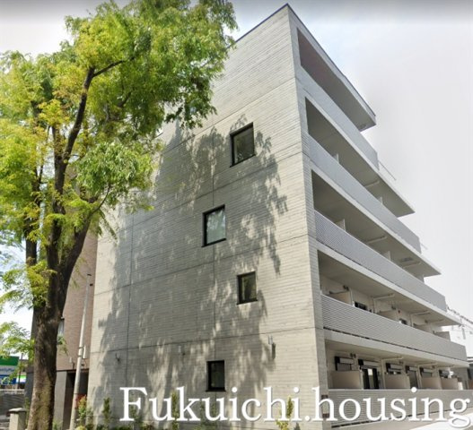 Y Hale (ワイハレ)