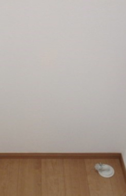 【設備】 | フェリスアリソン | 室内洗濯機置場