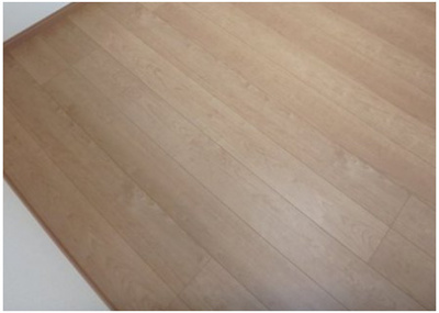 【居間・リビング】 | フェリスアリソン | フローリングでお掃除ラクラク♪