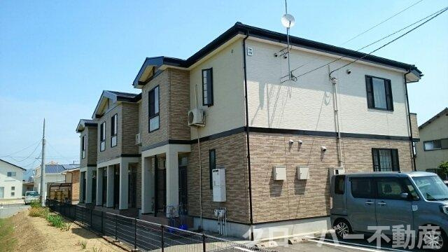 サンフラワー　Ｂ