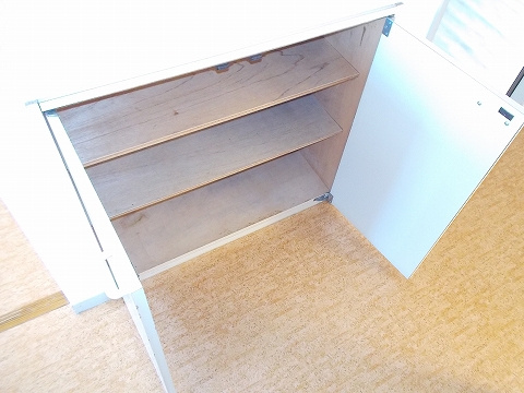 メゾン・ド・レスカール Aの玄関