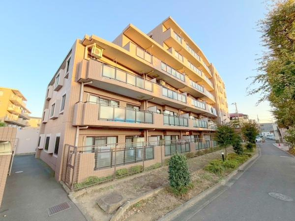 ナイスアーバン新川崎ステイツの外観|ナイスシリーズのスタイリッシュな外観です！