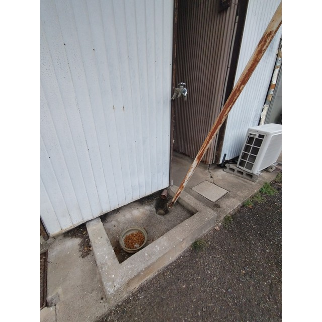 水海道3丁目7番24号長屋住宅の洗面所|室外洗濯機置場