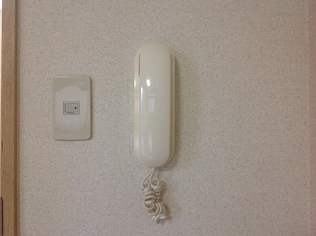 レオパレスタートルのその他