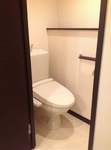 レオネクストリントアールのその他