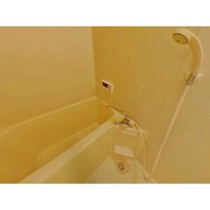 SurplusOne大島の浴室