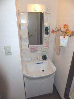 広島市安佐北区上深川町のアパートの洗面所|シャンプードレッサー