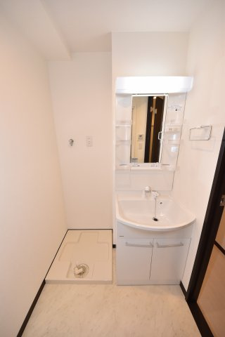 グランパシフィック天満橋の洗面所