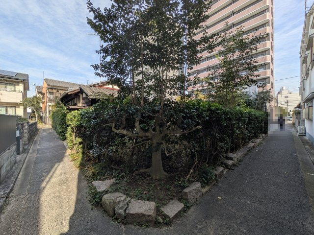 【前面道路含む現地写真】