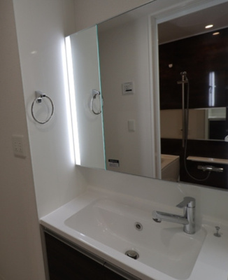 【洗面所】 | セレスティア池袋立教通り | ※同一シリーズの参考写真です