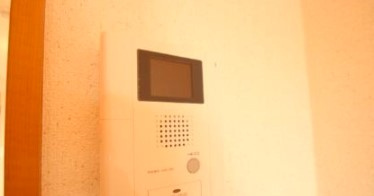 パルティアのセキュリティ