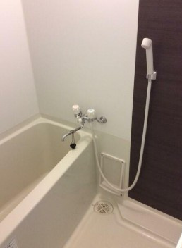 パルティアの浴室