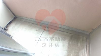 【バルコニー】 | ユーサンハイライズ