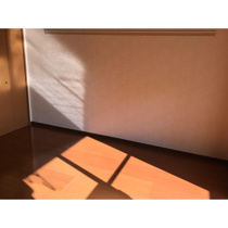 使いやすい居間です