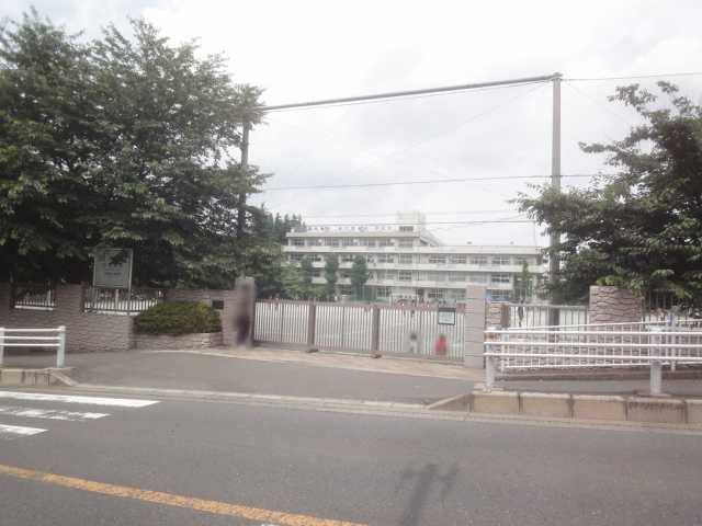 エヴァーグリーン常盤の周辺|さいたま市立仲町小学校まで506ｍ