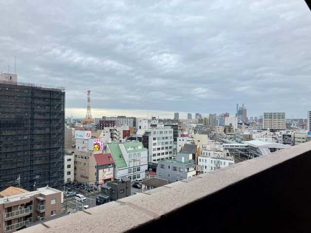 ルピナス北浦和公園の展望