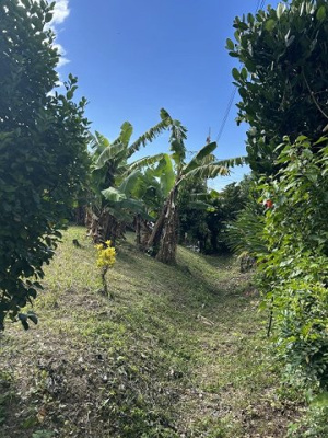  | 那覇市首里久場川町2丁目　土地