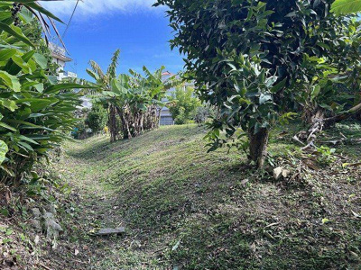  | 那覇市首里久場川町2丁目　土地