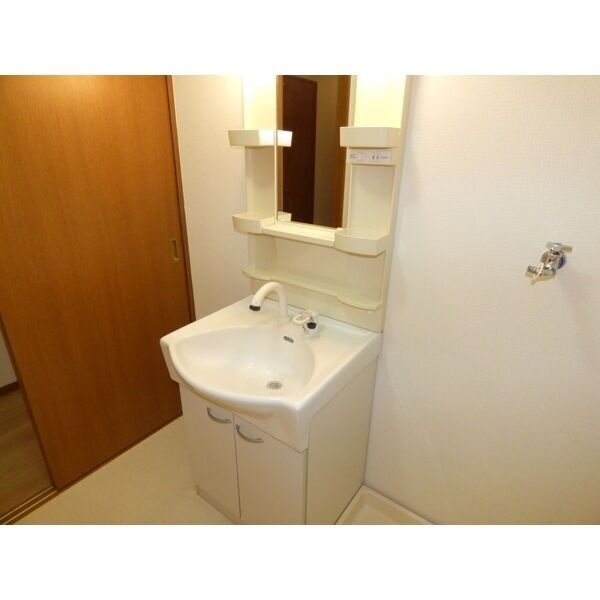 グリーンシティ竜美Ｍの洗面所